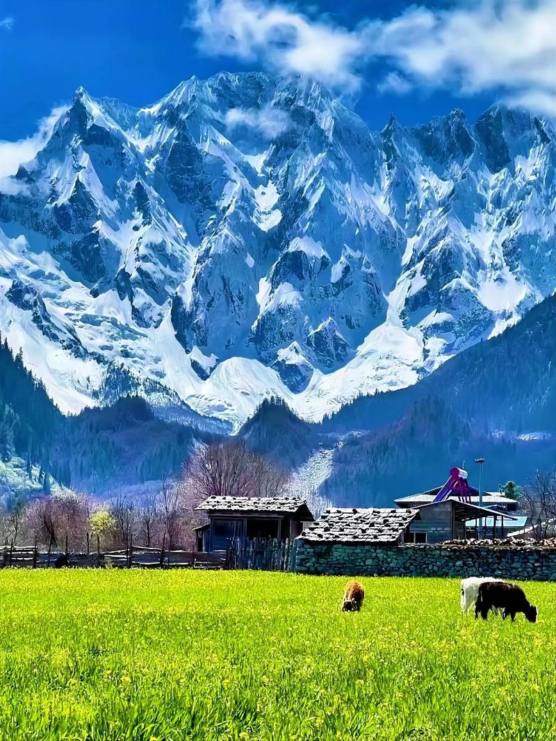 林芝旅游景点有哪些