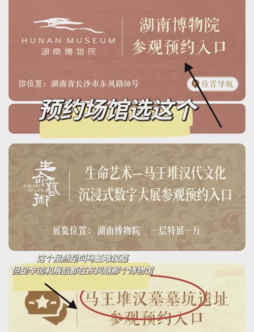 湖南省博物馆公众号怎么关注(附流程+入口)