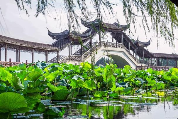 扬州避暑前十旅游景点