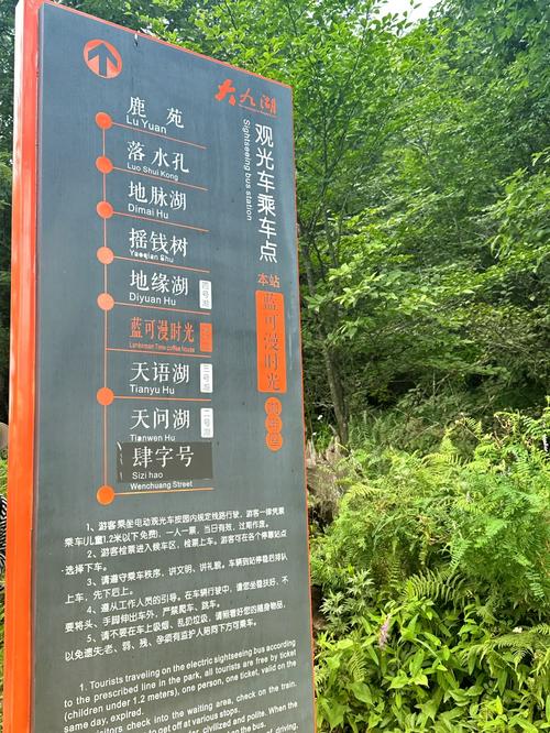 什么时候去大九湖国家湿地公园旅游比较好?