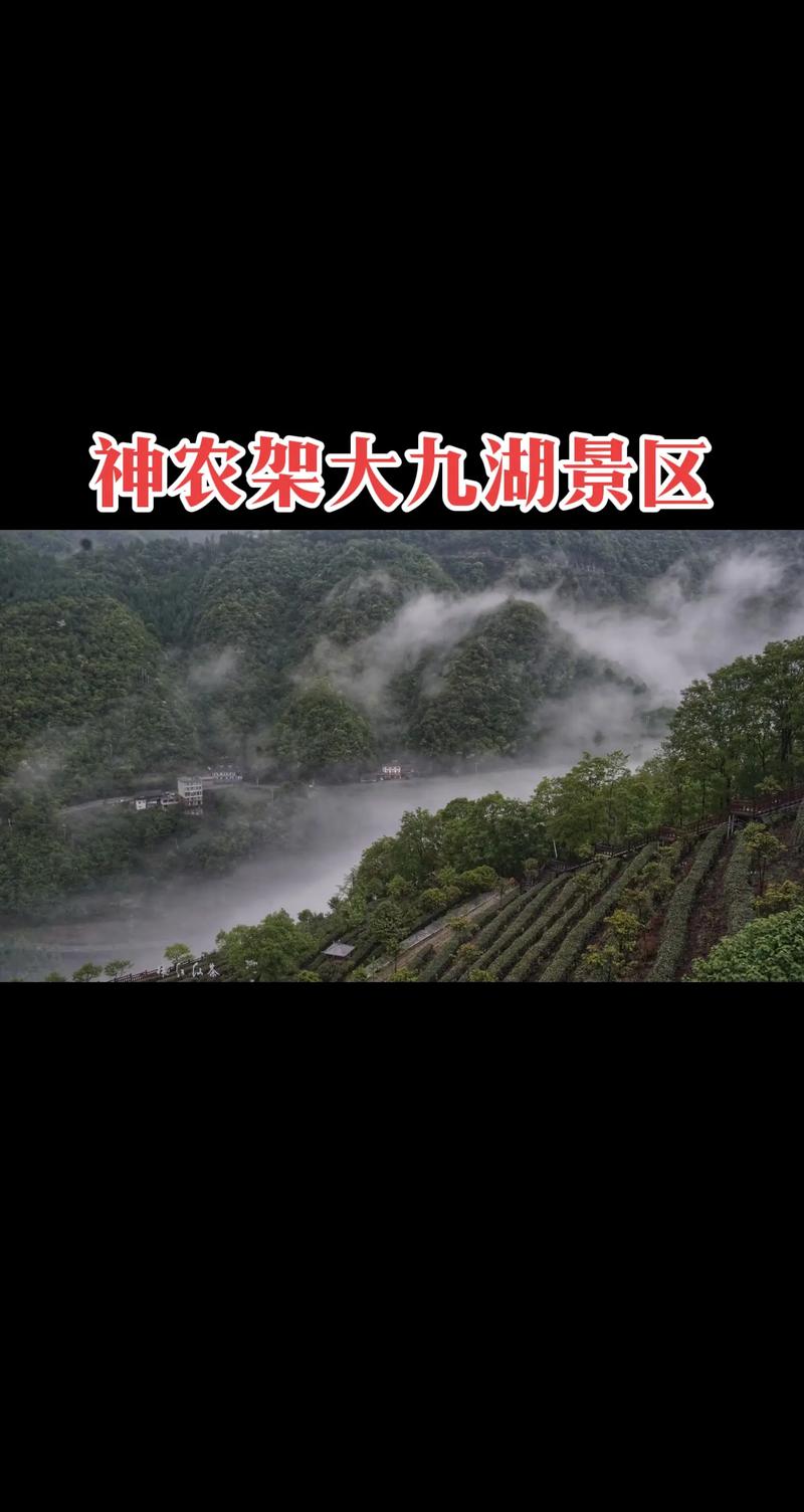 大九湖国家湿地公园公园简介