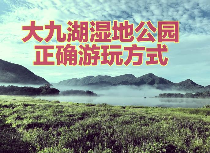湖北湖北旅游大九湖国家湿地公园景点介绍