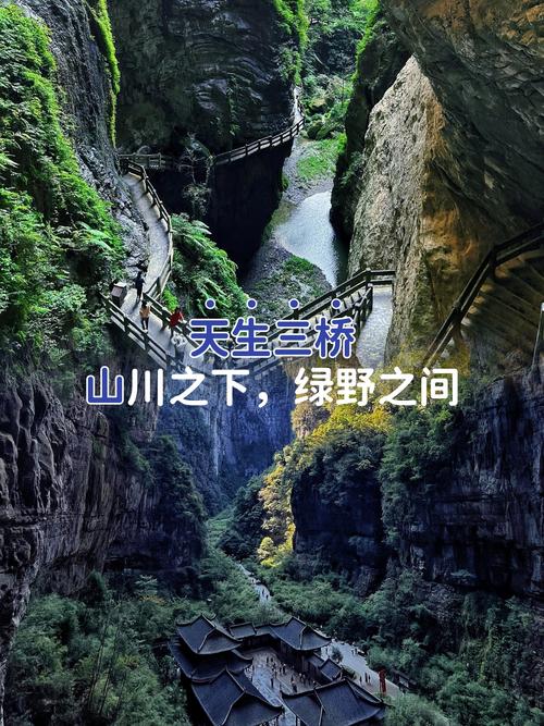 打卡武隆天生三桥的指南是什么?