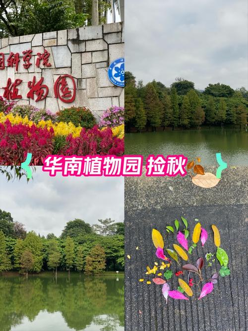 华南植物园门票多少钱一张(华南植物园免费开放时间)