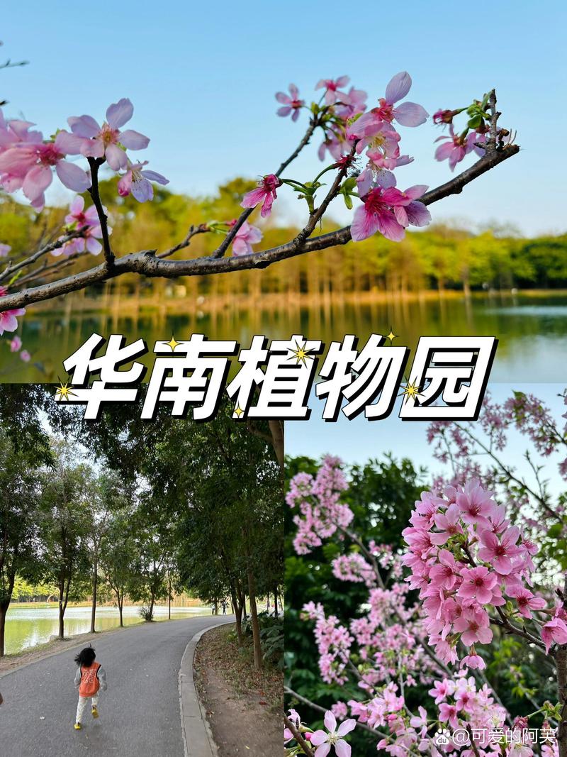 华南植物园好玩?要不要门票?