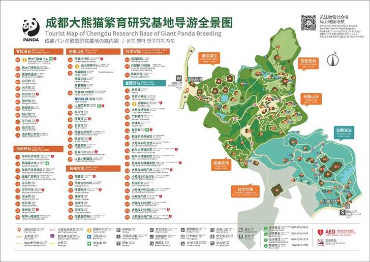 成都大熊猫基地在哪呢,怎么去?