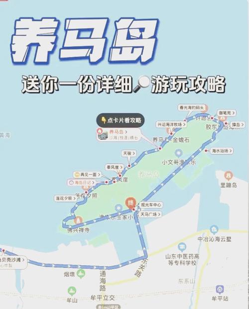 有什么去烟台养马岛观看马术表演的攻略?